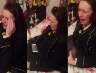 The 5 Best Reaction Videos To Zayn Malik Leaving One Direction
