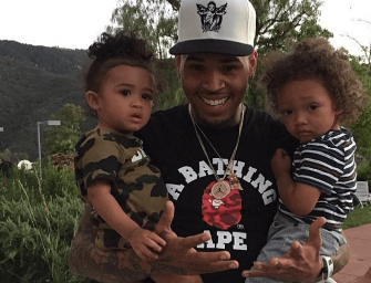 Cuteness Overload! Chris Brown Turns Father’s Day into a Lavish First Birthday for His Daughter.  (20 Super Cuddly Photos)