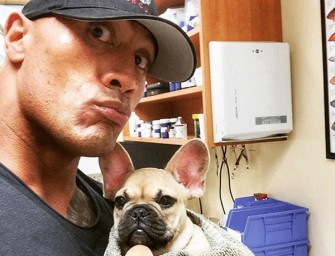 Dwayne ‘The Rock’ Johnson Can’t Save His Dog Again, Little Puppy Dies After Eating Mushroom