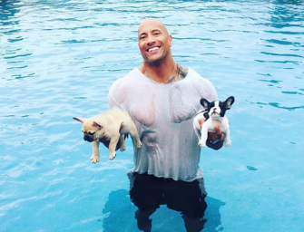 Dwayne ‘The Rock’ Johnson Is Now A Real Life Superhero, Saves Puppy From Drowning Inside Pool!