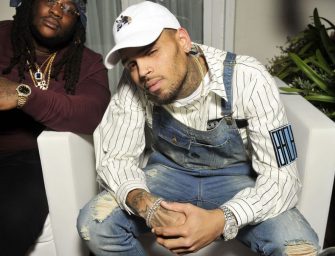 Chris Brown Harshly Responds to TMZ After They Post A Viral Video Of What Looks Like Brown “Stomping” A Fans Head.  (Both Videos)