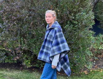 Gwyneth Paltrow’s Daily Wellness Routine Is So Rich That It Physically Hurts Us To Watch