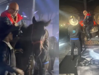 Watch CeeLo Green Fall Off A Horse During Wild Entrance To Birthday Party