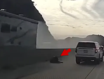 Crazy Video Shows Man Flying Out Of RV And Falling On To A Busy L.A. Freeway